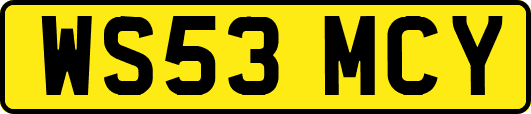 WS53MCY