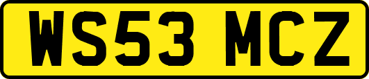 WS53MCZ