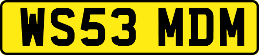 WS53MDM