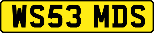 WS53MDS