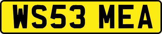 WS53MEA