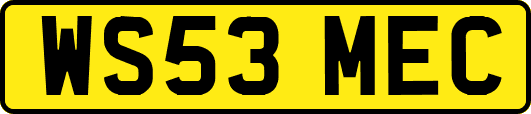 WS53MEC