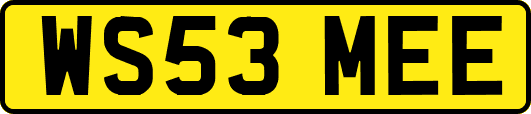 WS53MEE