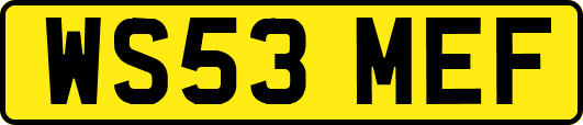 WS53MEF
