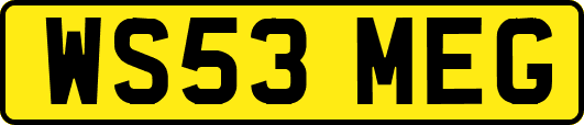 WS53MEG