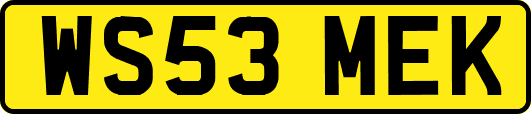WS53MEK