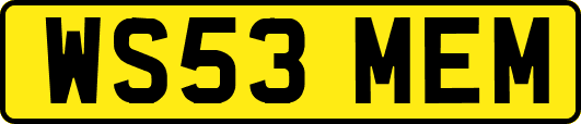 WS53MEM