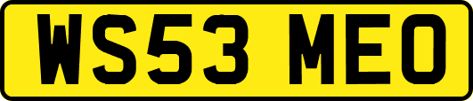 WS53MEO