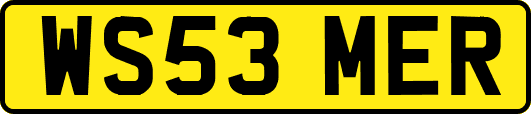 WS53MER