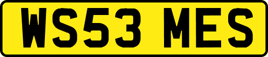 WS53MES
