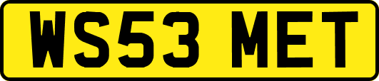 WS53MET