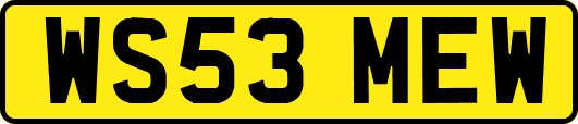 WS53MEW