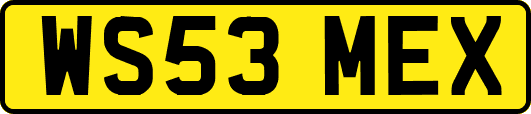 WS53MEX