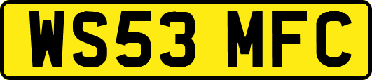WS53MFC