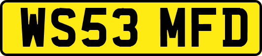 WS53MFD