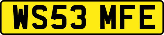 WS53MFE