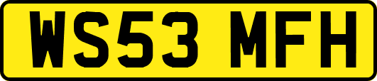 WS53MFH