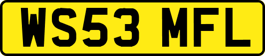 WS53MFL