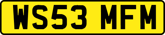 WS53MFM