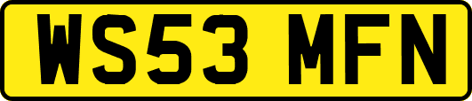 WS53MFN
