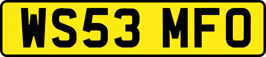 WS53MFO