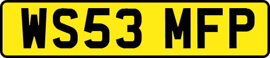 WS53MFP