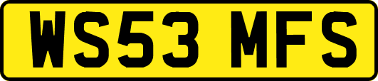 WS53MFS