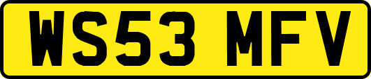 WS53MFV