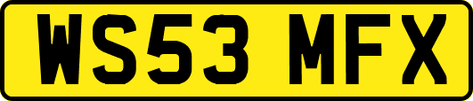 WS53MFX