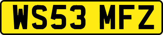 WS53MFZ