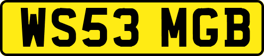 WS53MGB