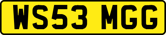 WS53MGG