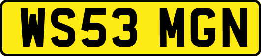 WS53MGN