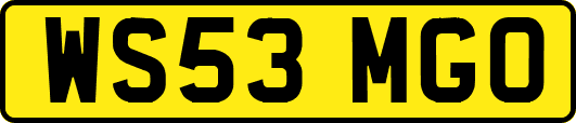 WS53MGO