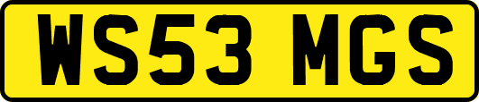WS53MGS