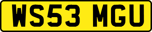 WS53MGU