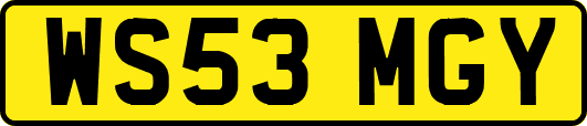 WS53MGY