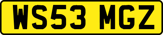 WS53MGZ
