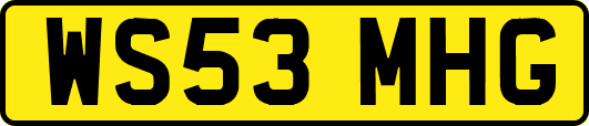 WS53MHG