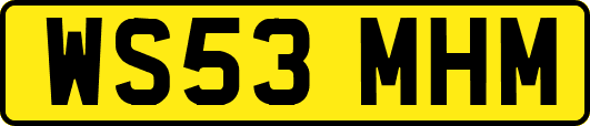 WS53MHM