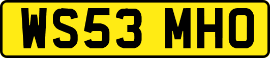 WS53MHO