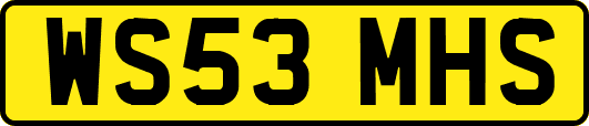 WS53MHS