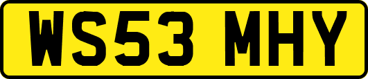 WS53MHY