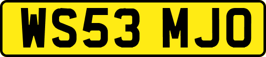 WS53MJO