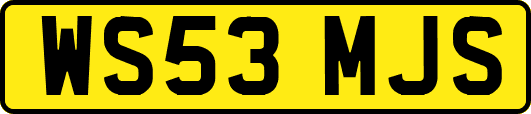 WS53MJS