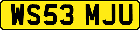 WS53MJU