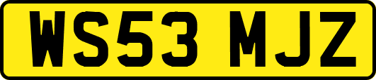 WS53MJZ