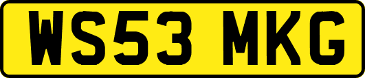 WS53MKG