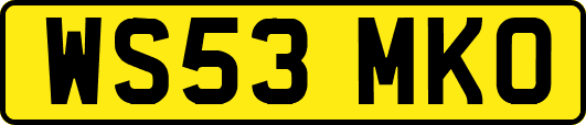 WS53MKO