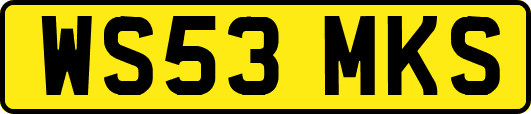 WS53MKS
